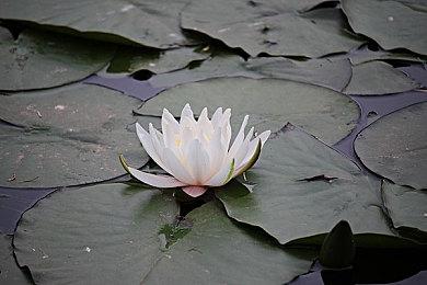 传：《暗黑破坏神4》2023年4月发售 TGA正式公布发售日